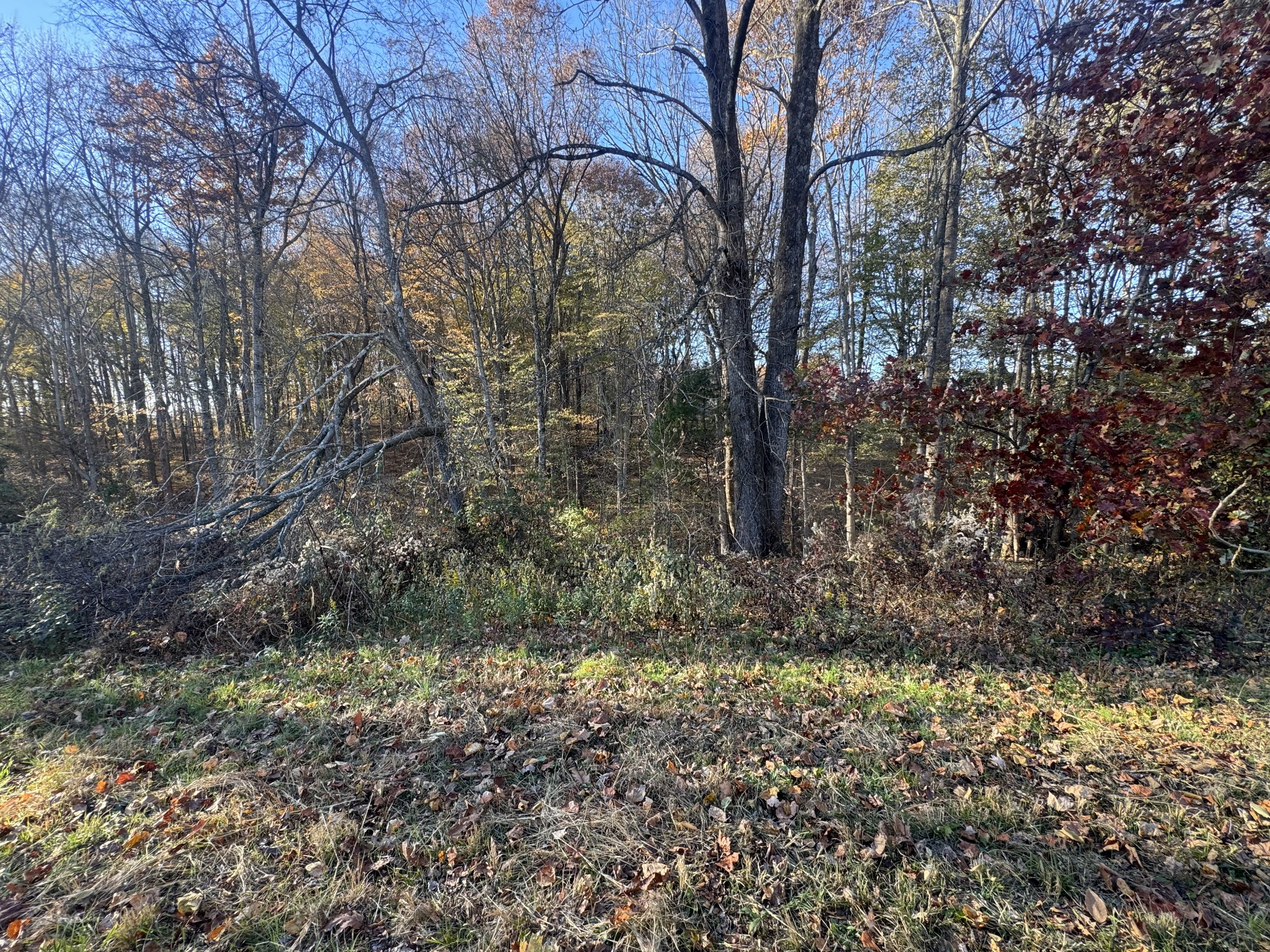 By submitting this image to Realtracs Inc, the User grants to Realtracs Inc an unrestricted license to use the image in compilations of properties and in other ways authorized by the Board of Directors.