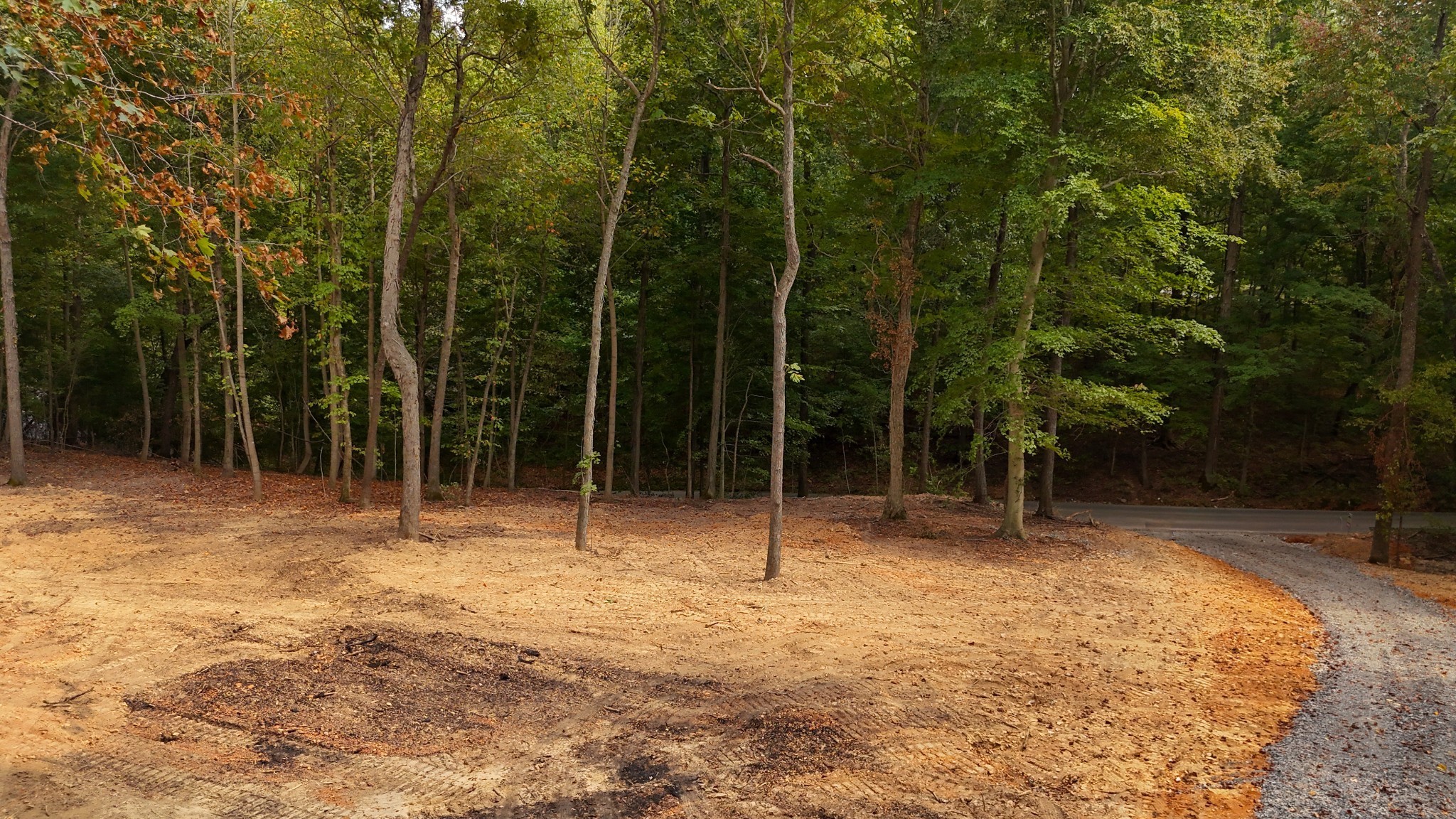 By submitting this image to Realtracs Inc, the User grants to Realtracs Inc an unrestricted license to use the image in compilations of properties and in other ways authorized by the Board of Directors.