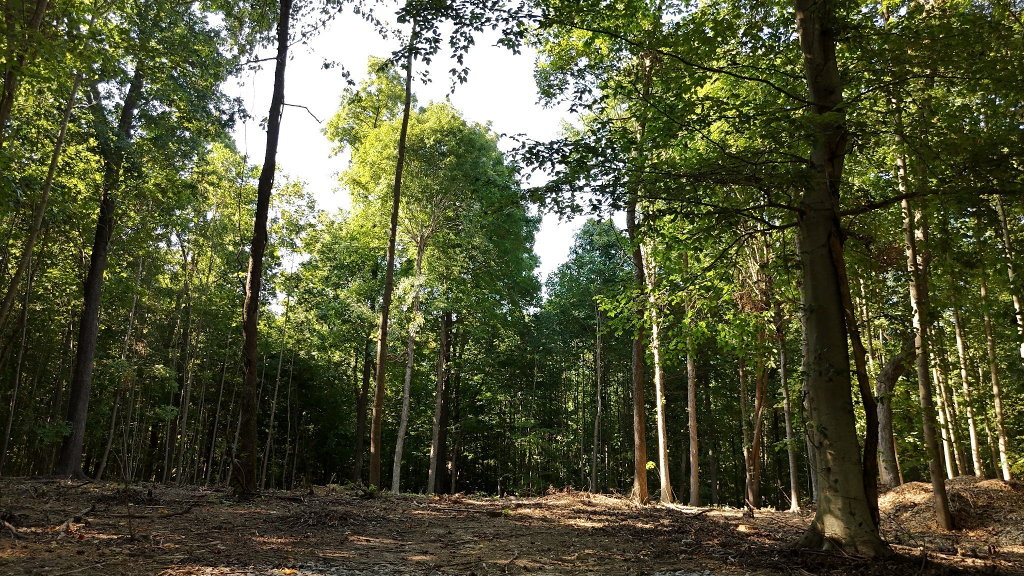 By submitting this image to Realtracs Inc, the User grants to Realtracs Inc an unrestricted license to use the image in compilations of properties and in other ways authorized by the Board of Directors.