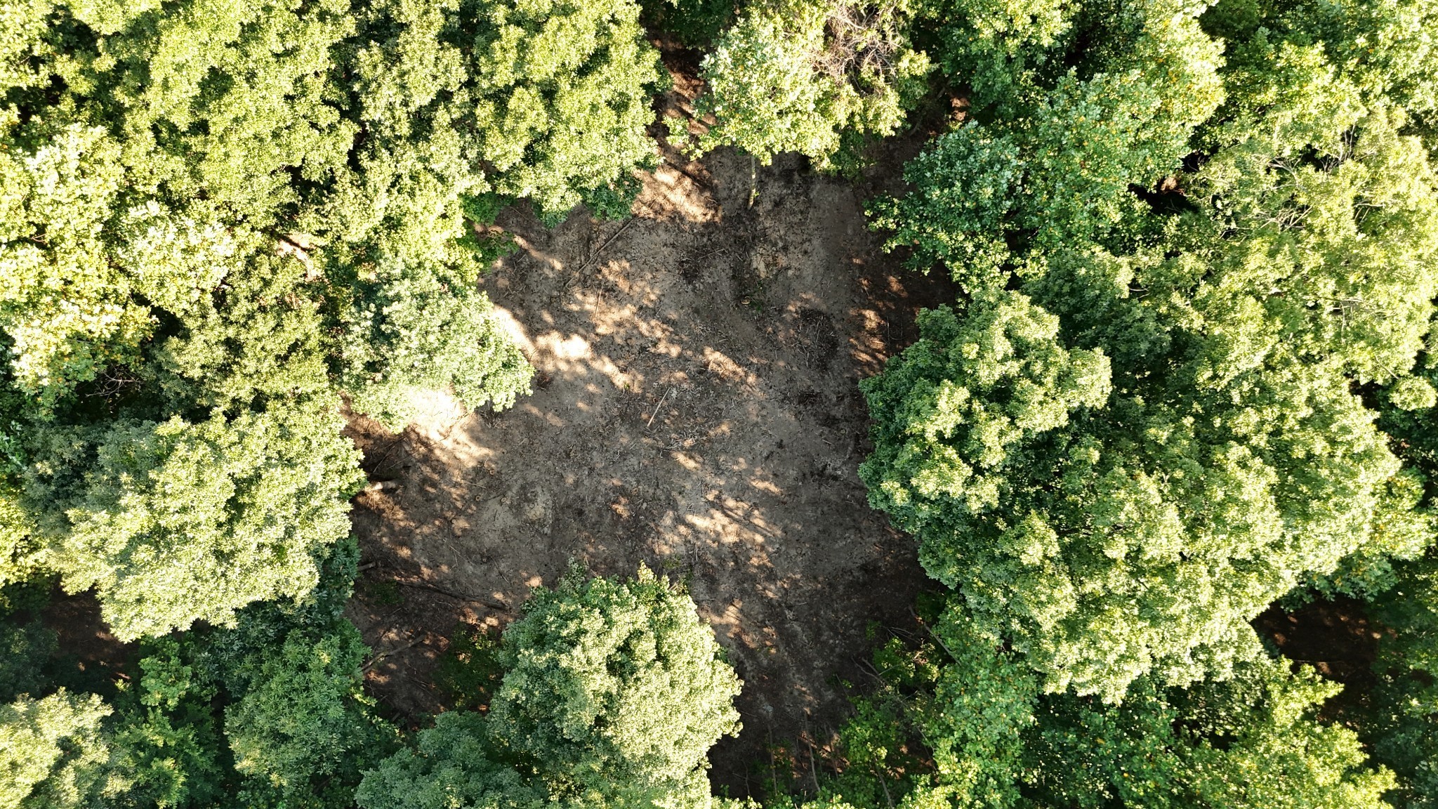 By submitting this image to Realtracs Inc, the User grants to Realtracs Inc an unrestricted license to use the image in compilations of properties and in other ways authorized by the Board of Directors.