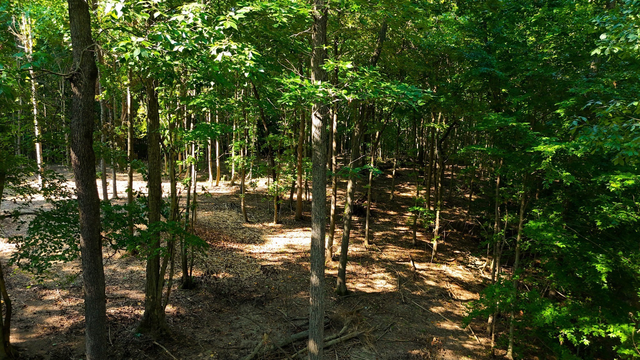 By submitting this image to Realtracs Inc, the User grants to Realtracs Inc an unrestricted license to use the image in compilations of properties and in other ways authorized by the Board of Directors.