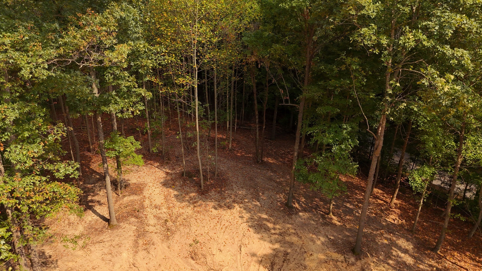 By submitting this image to Realtracs Inc, the User grants to Realtracs Inc an unrestricted license to use the image in compilations of properties and in other ways authorized by the Board of Directors.