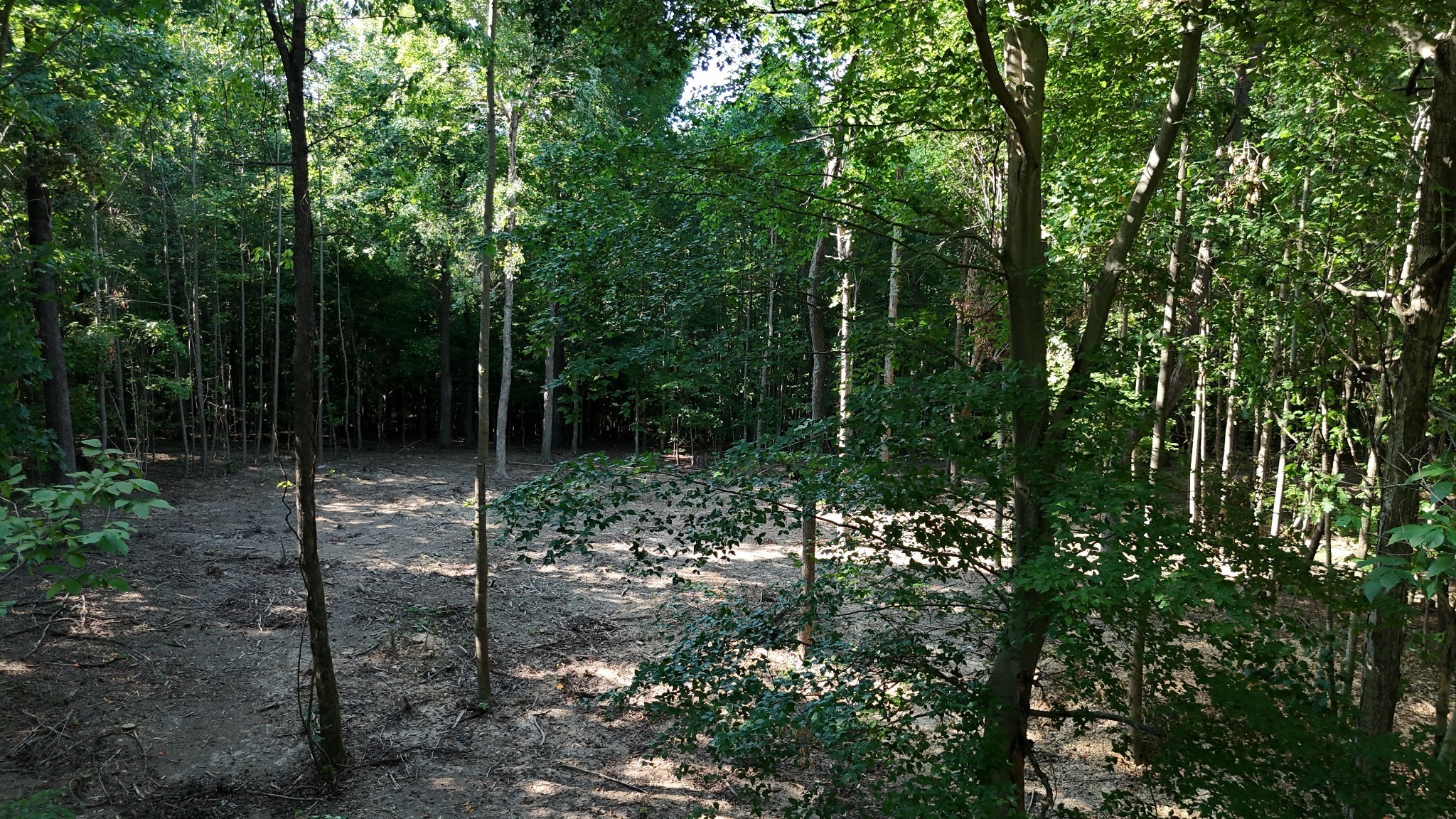 By submitting this image to Realtracs Inc, the User grants to Realtracs Inc an unrestricted license to use the image in compilations of properties and in other ways authorized by the Board of Directors.