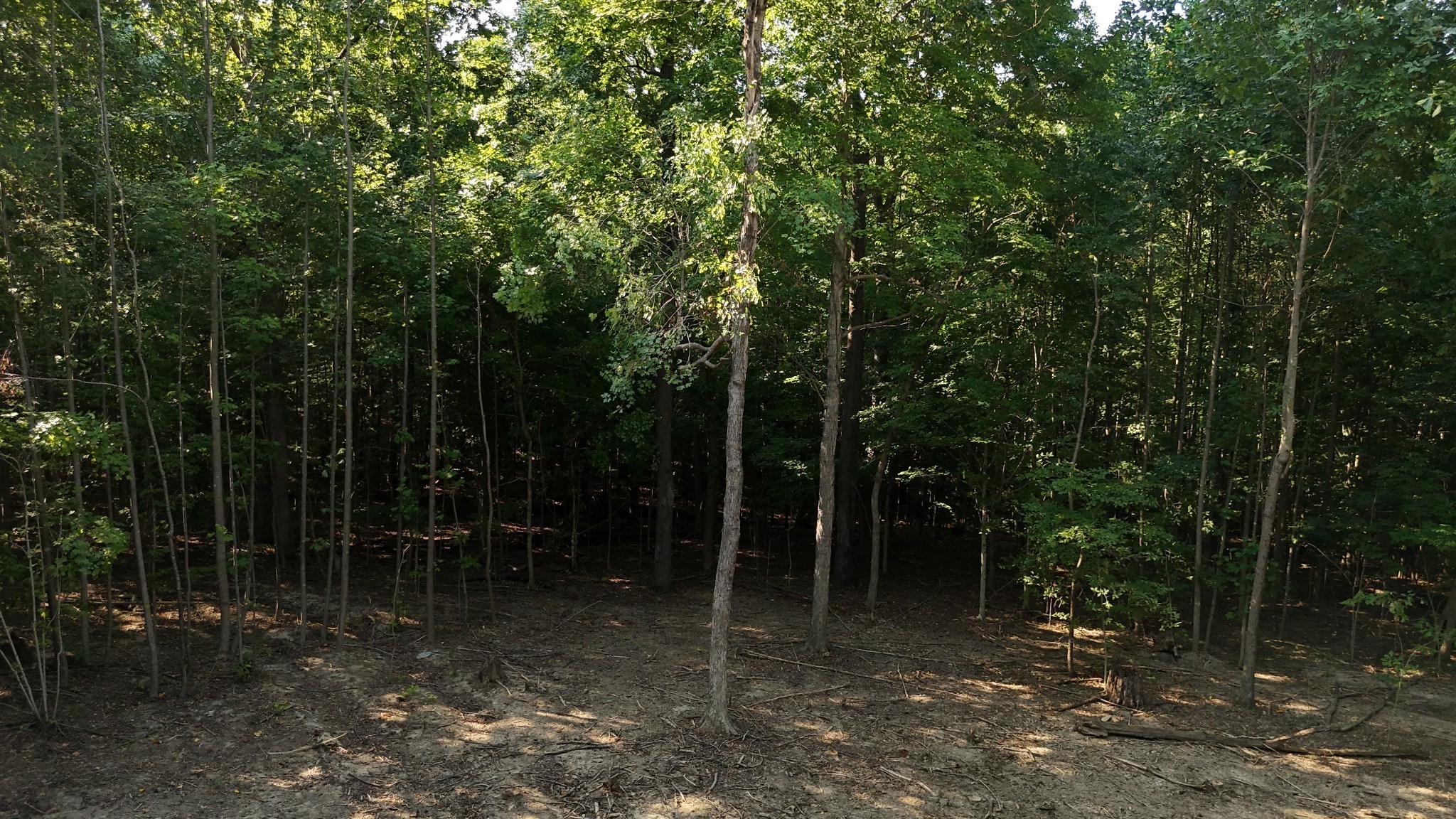 By submitting this image to Realtracs Inc, the User grants to Realtracs Inc an unrestricted license to use the image in compilations of properties and in other ways authorized by the Board of Directors.