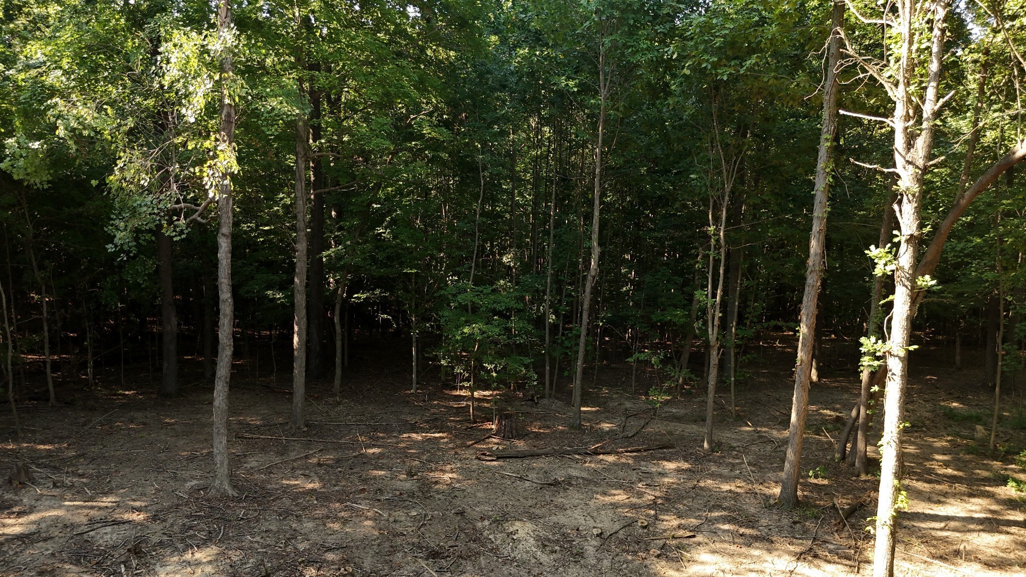 By submitting this image to Realtracs Inc, the User grants to Realtracs Inc an unrestricted license to use the image in compilations of properties and in other ways authorized by the Board of Directors.