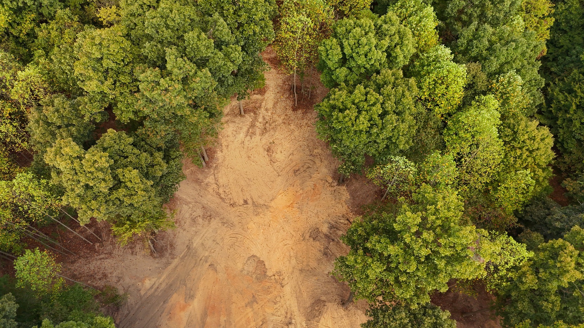 By submitting this image to Realtracs Inc, the User grants to Realtracs Inc an unrestricted license to use the image in compilations of properties and in other ways authorized by the Board of Directors.