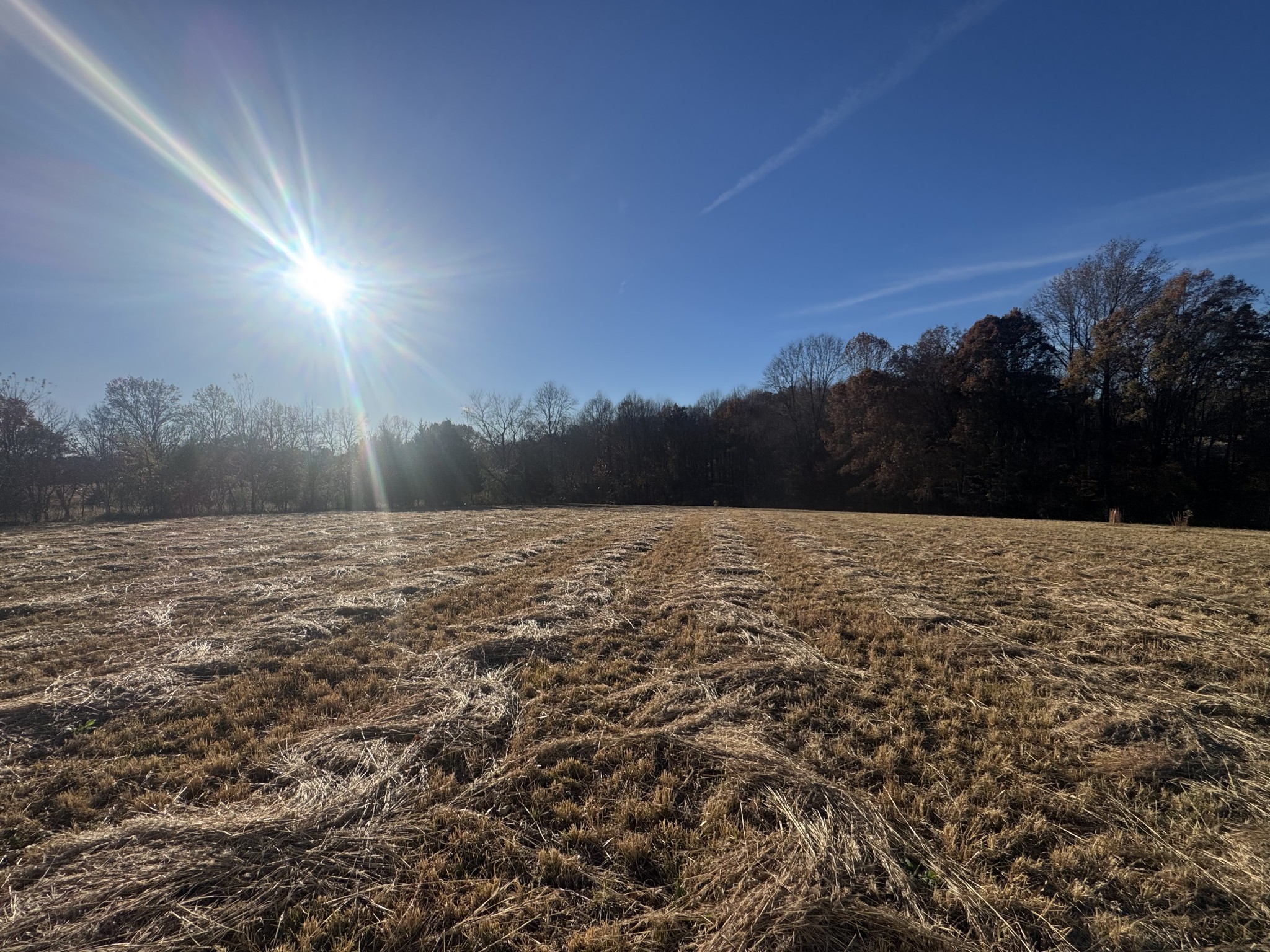 By submitting this image to Realtracs Inc, the User grants to Realtracs Inc an unrestricted license to use the image in compilations of properties and in other ways authorized by the Board of Directors.