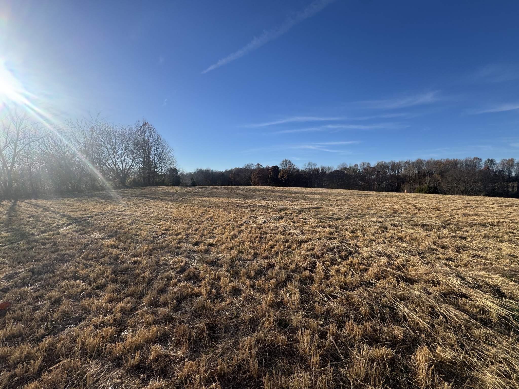 By submitting this image to Realtracs Inc, the User grants to Realtracs Inc an unrestricted license to use the image in compilations of properties and in other ways authorized by the Board of Directors.