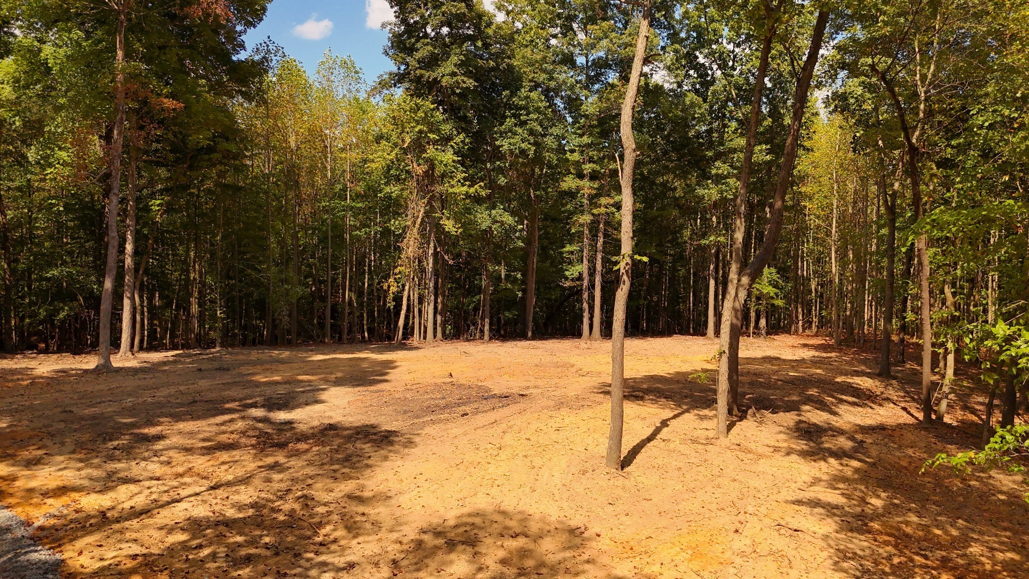 By submitting this image to Realtracs Inc, the User grants to Realtracs Inc an unrestricted license to use the image in compilations of properties and in other ways authorized by the Board of Directors.