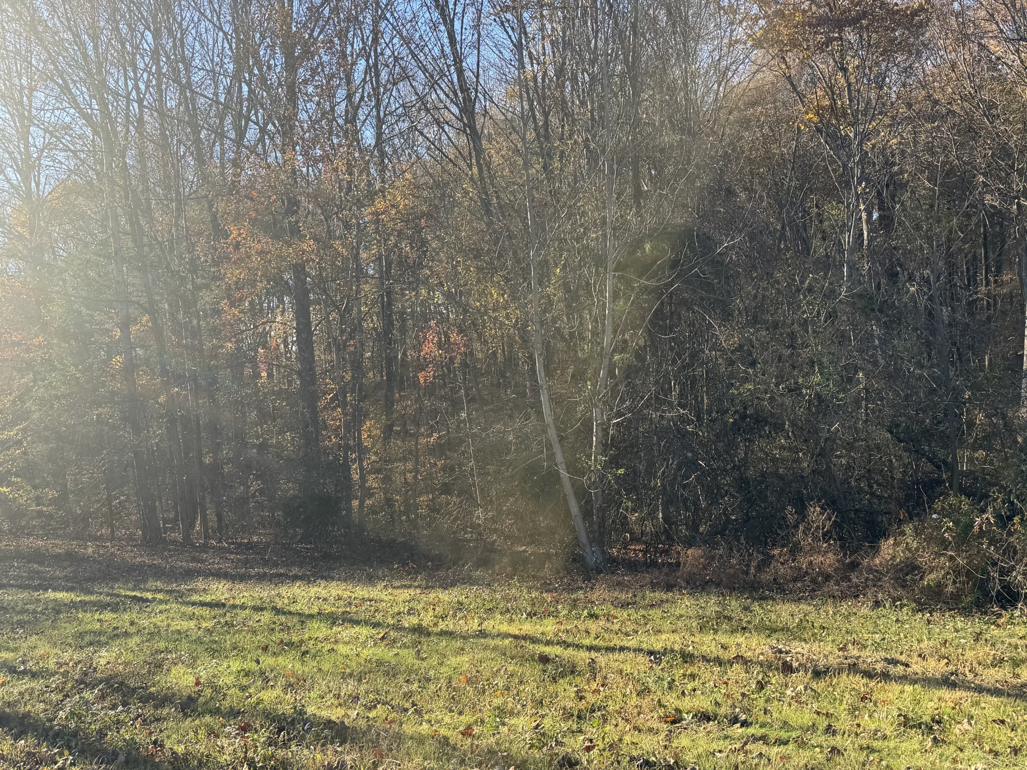 By submitting this image to Realtracs Inc, the User grants to Realtracs Inc an unrestricted license to use the image in compilations of properties and in other ways authorized by the Board of Directors.