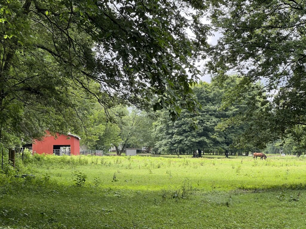 You Inherited Family Property. Now What?