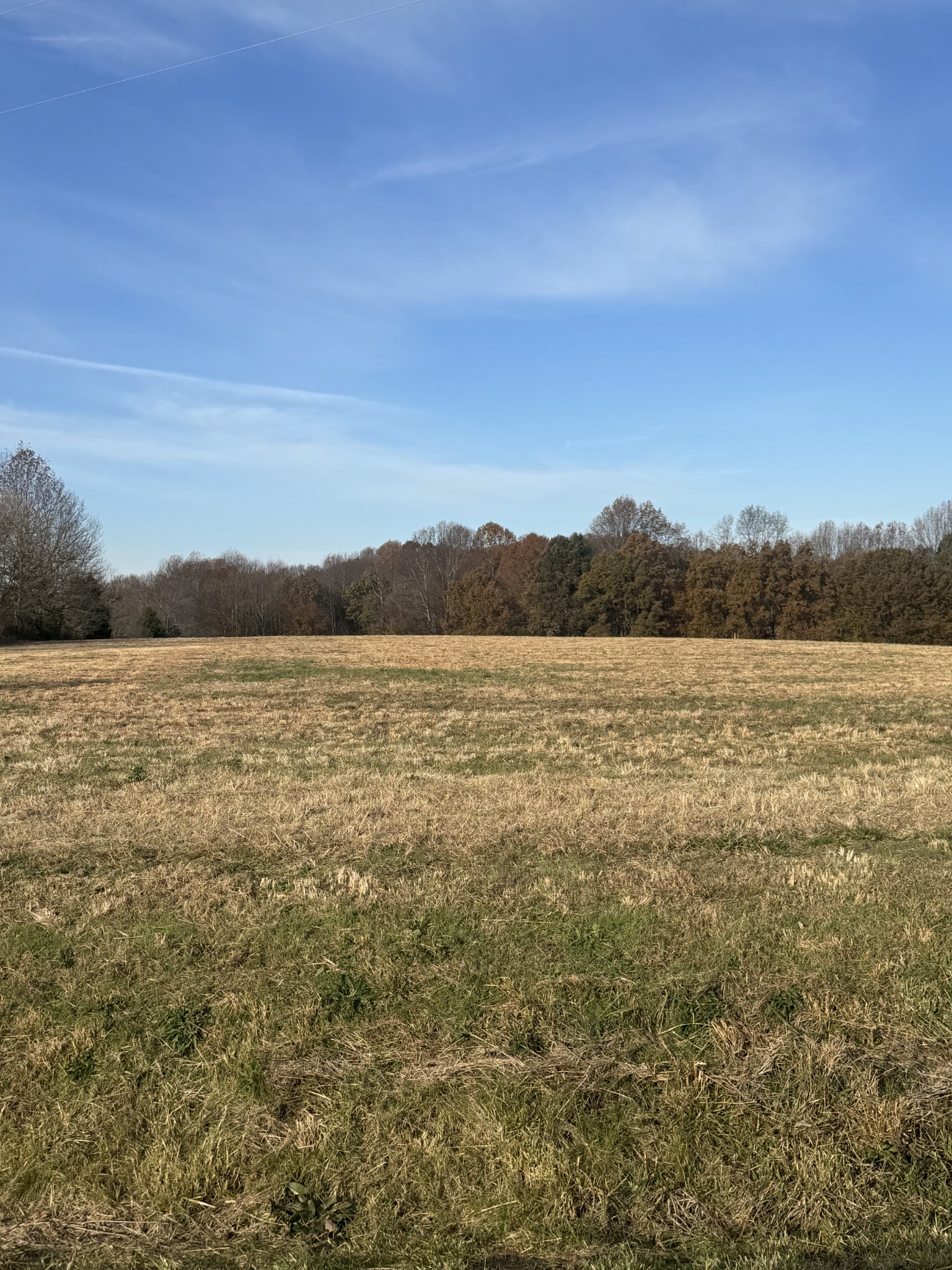 By submitting this image to Realtracs Inc, the User grants to Realtracs Inc an unrestricted license to use the image in compilations of properties and in other ways authorized by the Board of Directors.