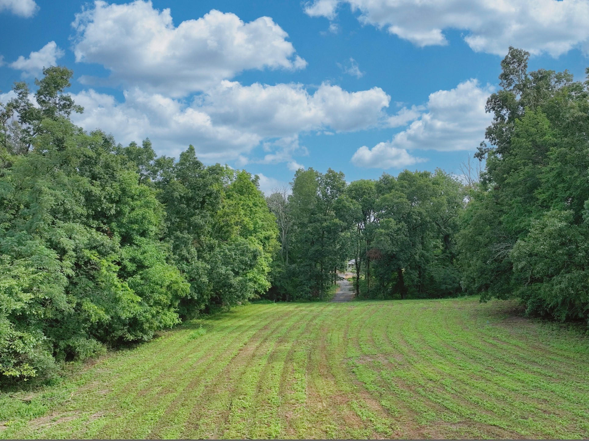 By submitting this image to Realtracs Inc, the User grants to Realtracs Inc an unrestricted license to use the image in compilations of properties and in other ways authorized by the Board of Directors.