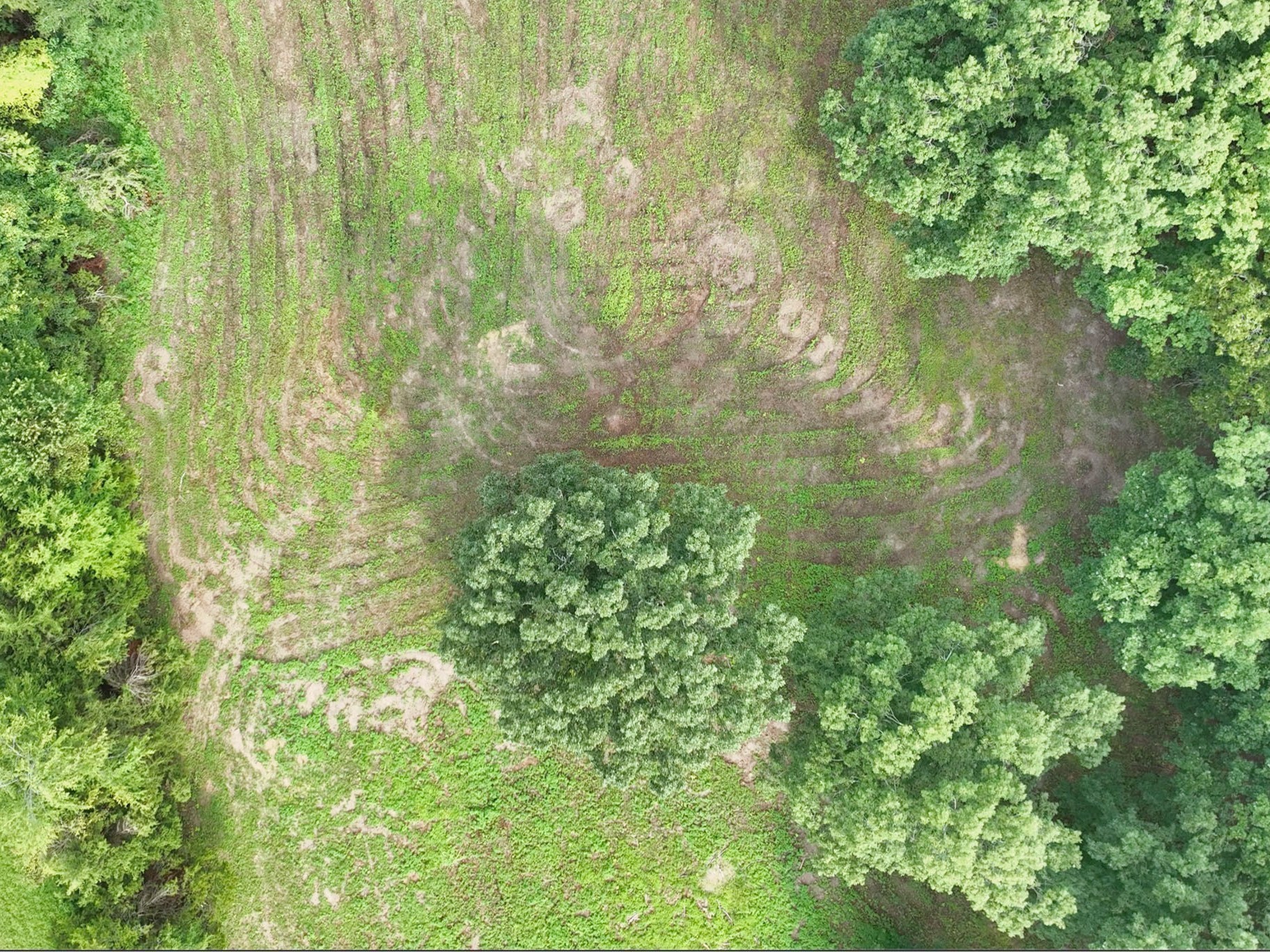 By submitting this image to Realtracs Inc, the User grants to Realtracs Inc an unrestricted license to use the image in compilations of properties and in other ways authorized by the Board of Directors.
