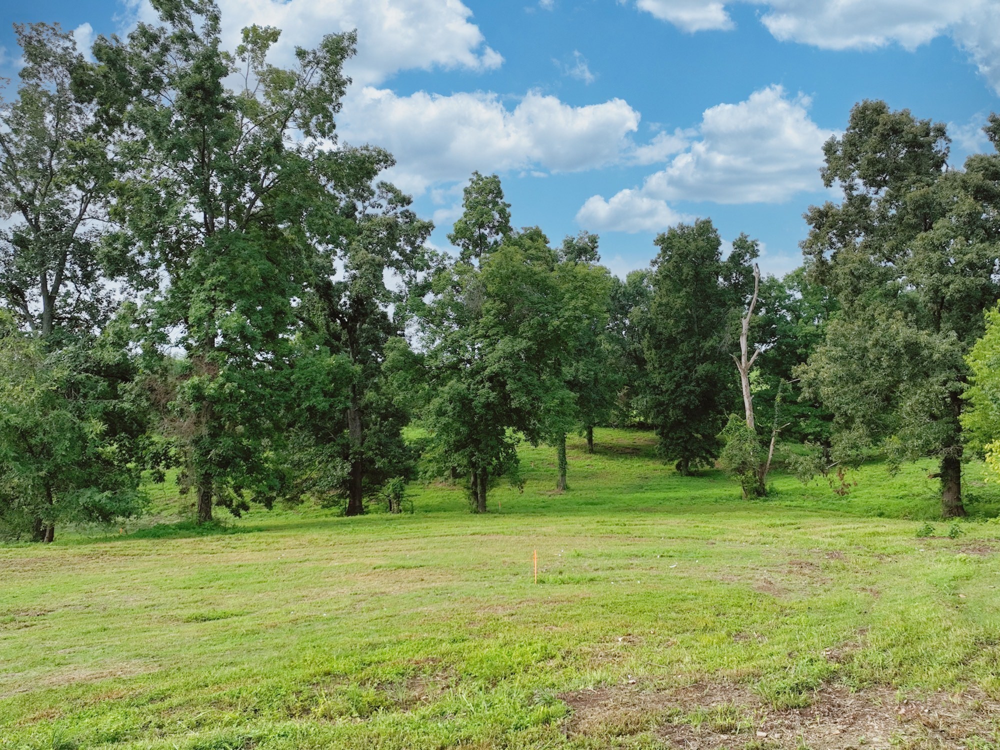 By submitting this image to Realtracs Inc, the User grants to Realtracs Inc an unrestricted license to use the image in compilations of properties and in other ways authorized by the Board of Directors.