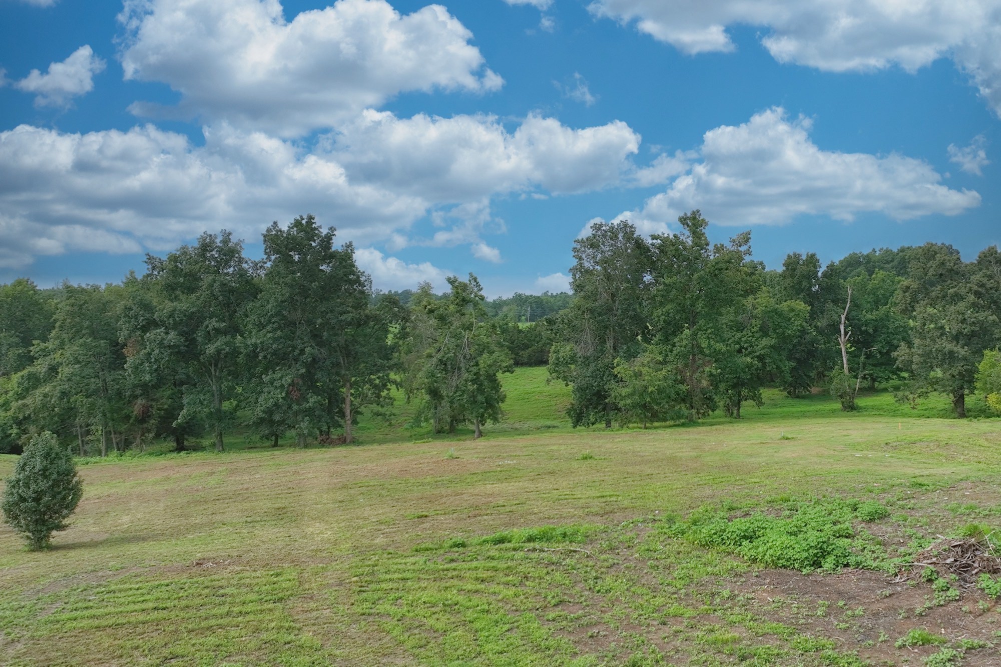 By submitting this image to Realtracs Inc, the User grants to Realtracs Inc an unrestricted license to use the image in compilations of properties and in other ways authorized by the Board of Directors.