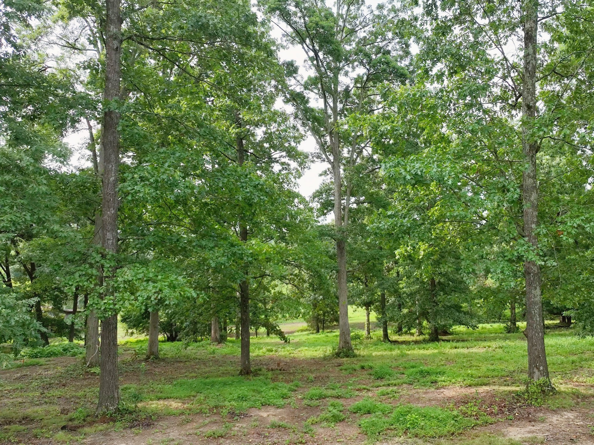 By submitting this image to Realtracs Inc, the User grants to Realtracs Inc an unrestricted license to use the image in compilations of properties and in other ways authorized by the Board of Directors.