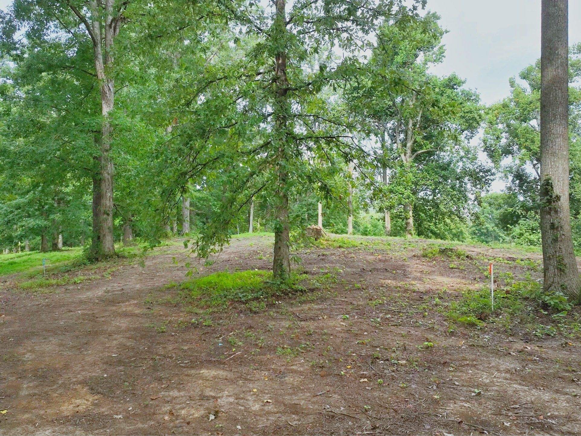 By submitting this image to Realtracs Inc, the User grants to Realtracs Inc an unrestricted license to use the image in compilations of properties and in other ways authorized by the Board of Directors.