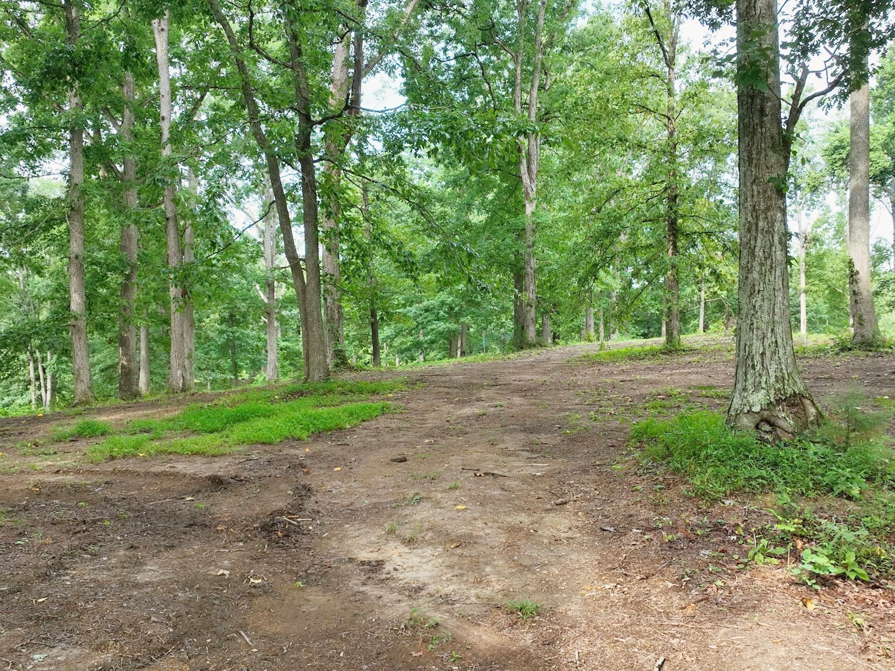 By submitting this image to Realtracs Inc, the User grants to Realtracs Inc an unrestricted license to use the image in compilations of properties and in other ways authorized by the Board of Directors.
