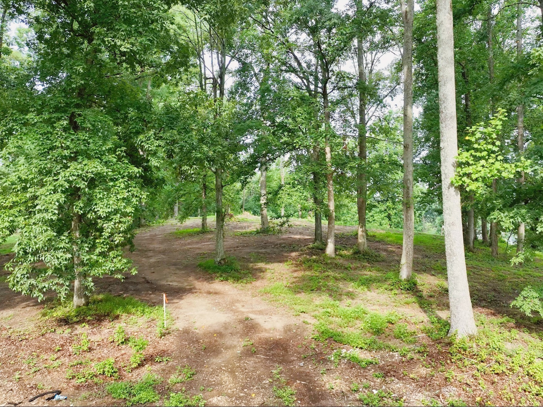 By submitting this image to Realtracs Inc, the User grants to Realtracs Inc an unrestricted license to use the image in compilations of properties and in other ways authorized by the Board of Directors.
