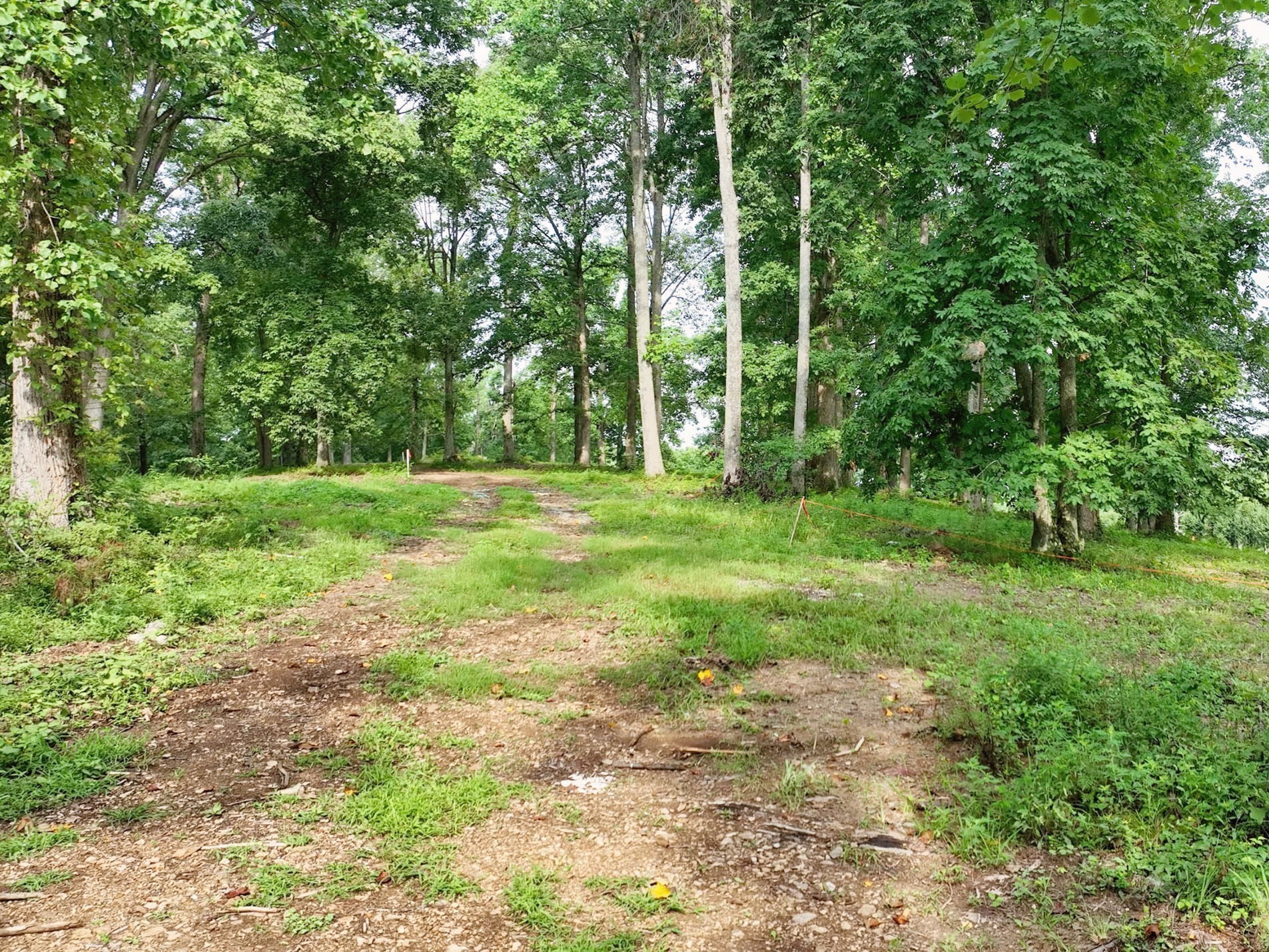 By submitting this image to Realtracs Inc, the User grants to Realtracs Inc an unrestricted license to use the image in compilations of properties and in other ways authorized by the Board of Directors.